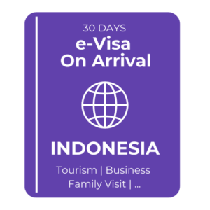 e visa on arrival indonesia