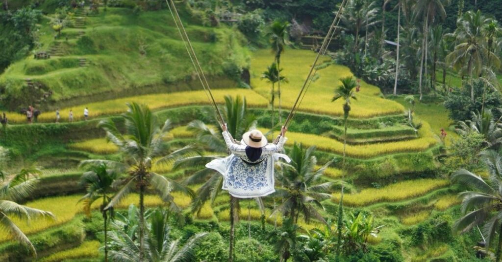 Traveler on a swing above bali rice terraces, representing tourism and flexible travel while staying in indonesia on a diaspora permit.