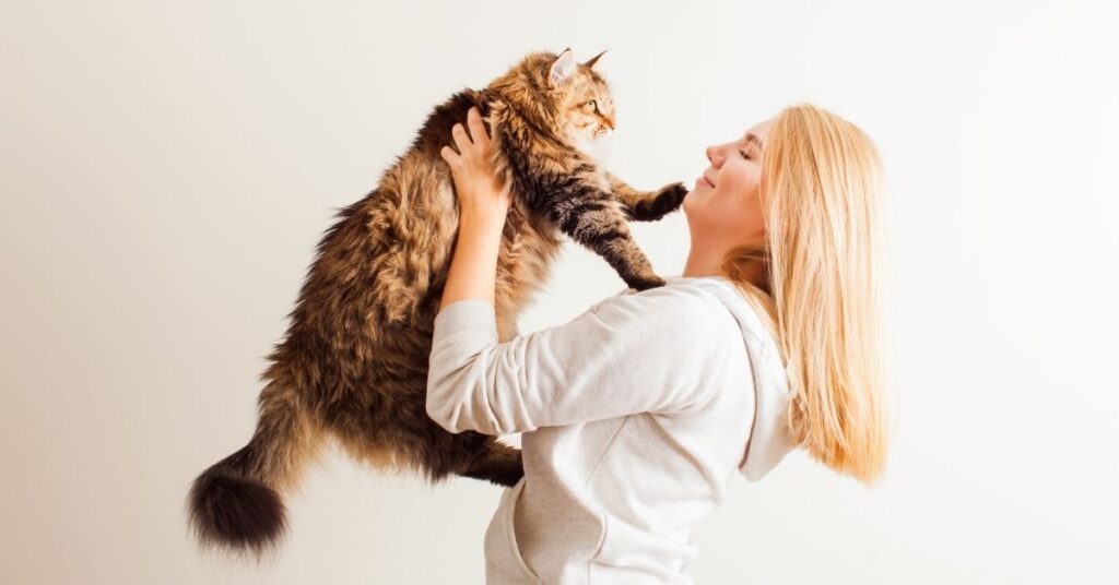 Smiling tourist in bali happily adopting a fluffy rescue cat.