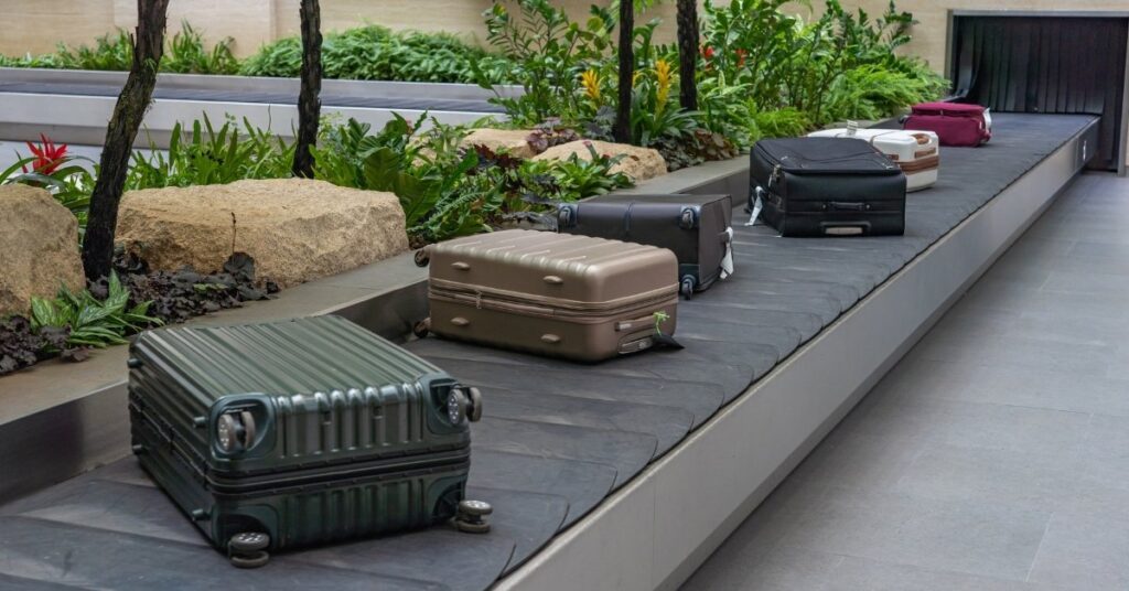 Baggage carousel surrounded by tropical greenery in Bali Airport’s arrivals area.
