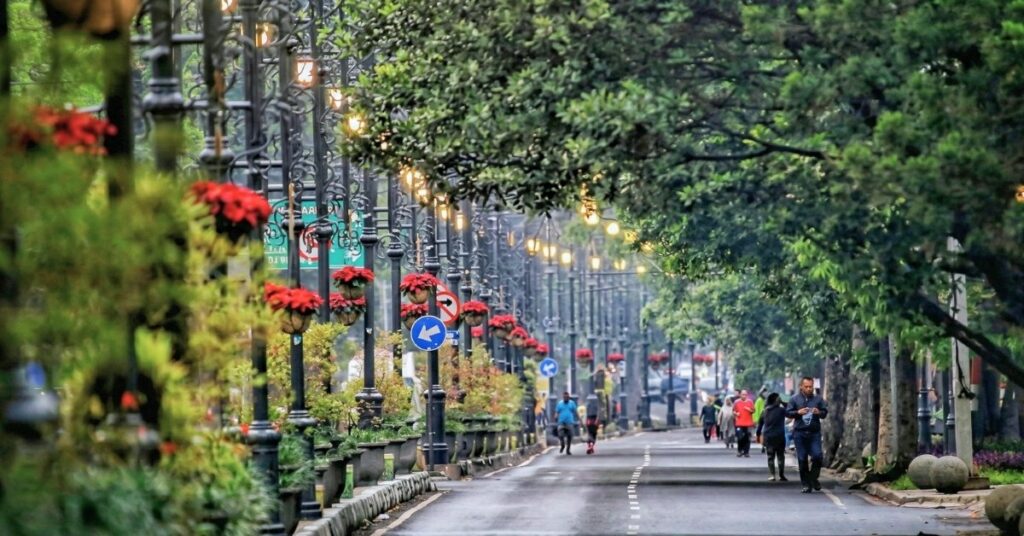 Tree-lined street in bandung with pedestrians, flower planters, and a calm urban atmosphere.