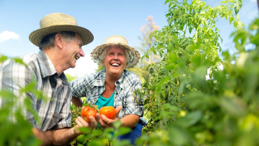 Older couple smiling while gardening in a lush tropical setting, representing retirement in bali