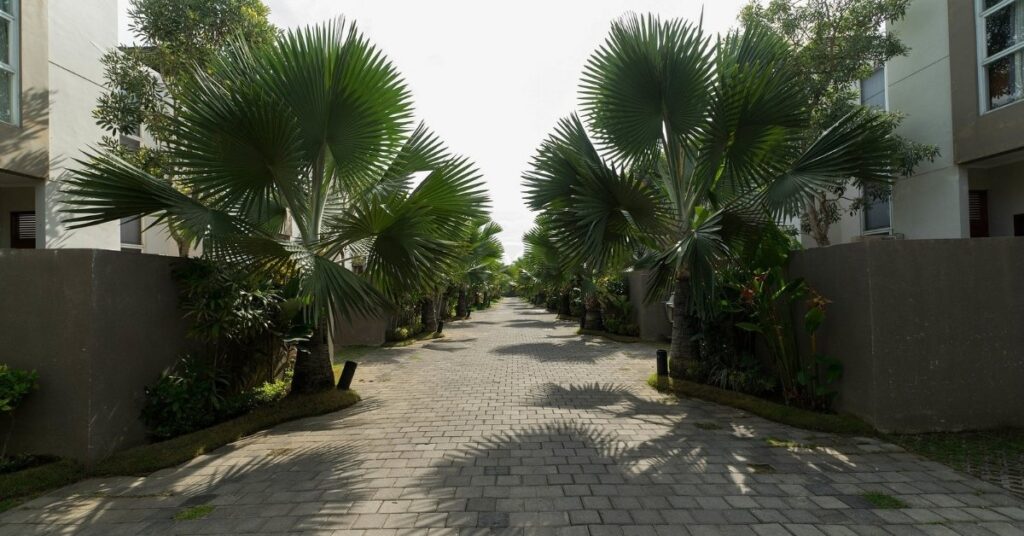 Seminyak villa neighborhood with palm-lined private lane, modern amenities near dining and shops.