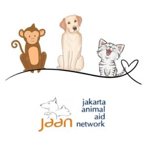 Jakarta Animal Network helps all kinds of animals