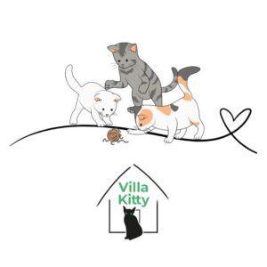 Donate to Villa Kitty