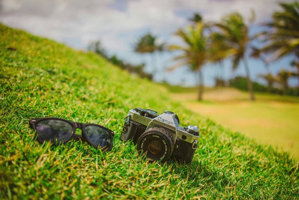 Cámara de cine retro canon y gafas de sol negras descansando sobre hierba verde brillante con palmeras meciéndose bajo un cielo azul en indonesia.