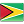 Guyanas flagga 1