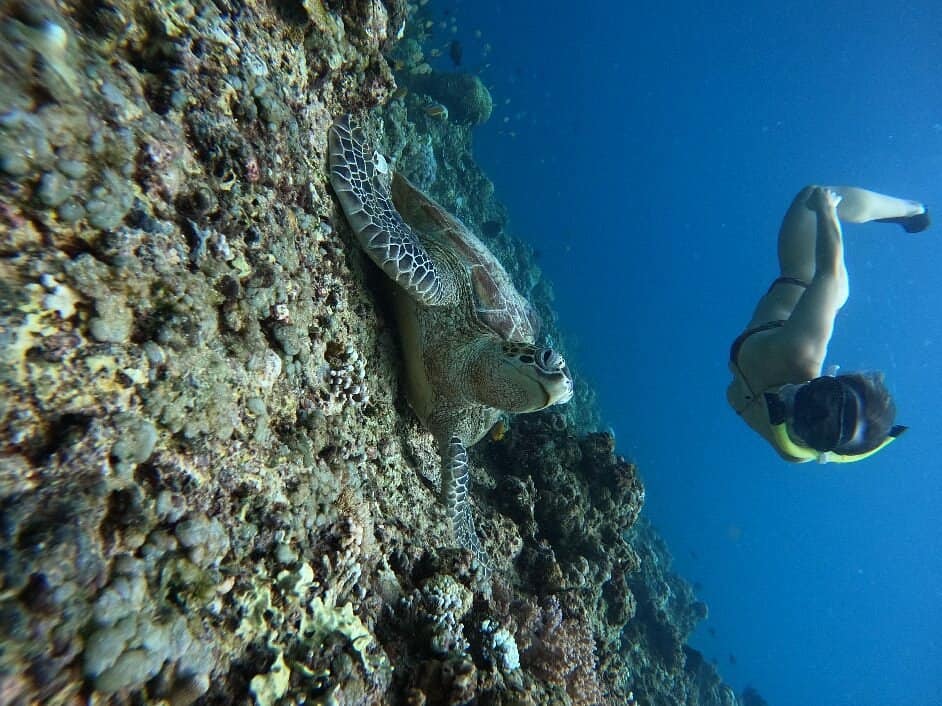 Плавання з маскою і трубкою поруч із морською черепахою над яскравими кораловими рифами на островах Гілі - одному з найкращих місць в Індонезії для підводних пригод.