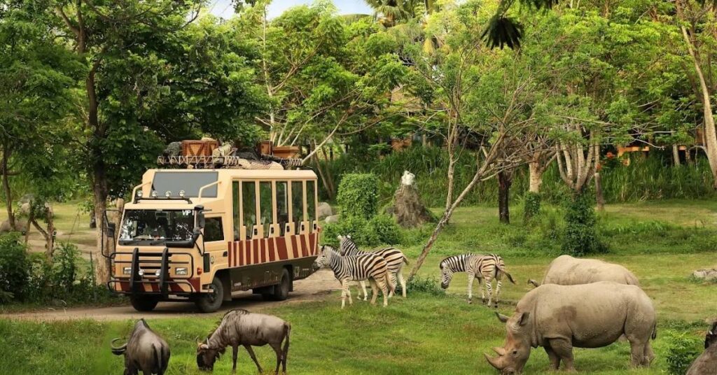 Camion safari traversant le parc safari de Bali, entouré de zèbres, de rhinocéros et de verdure luxuriante.